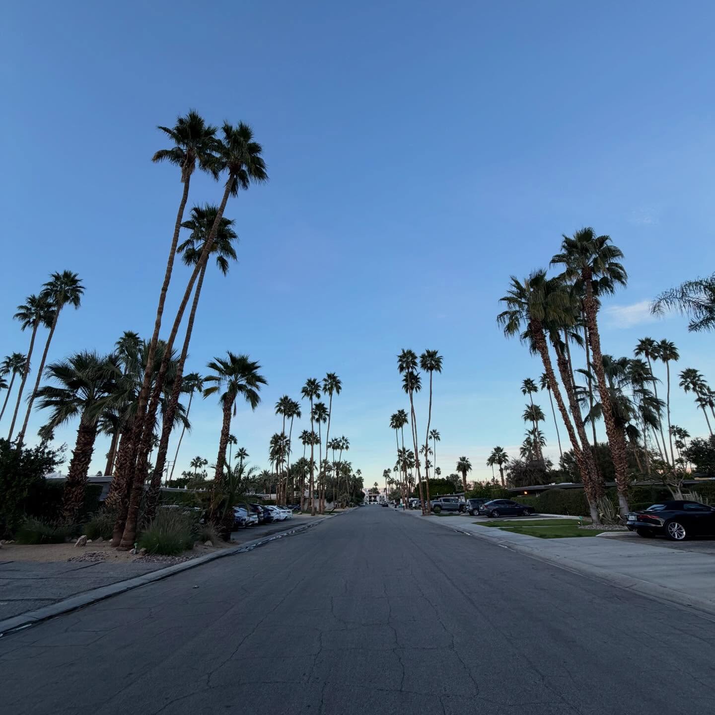 Instagram post: Palm Springs in the winter is everything